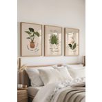 Postifull Çerçeveli Tablo Seti, 3 Adet Ahşap Çerçeve Ve Minimalist Çizim Temalı Poster Seti, No:300532;10 X 15 Ahşap