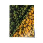 Postifull Çerçevesiz Poster Orman No:3, Fotoğraf Baskısı, Salon, Mutfak, Oturma Odası, Hol Duvar Dekoru Poster;50 X 70 Renkli - 11