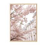 Postifull Cherry Branches Çerçeveli Tablo, Ahşap Çerçeve Ve Poster, Duvar Tablosu Comfort Serisi No:108367;10 X 15 Ahşap Çerçeveli
