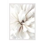 Postifull Close Up Blossom Çerçeveli Tablo, Beyaz Çerçeve Ve Poster, Duvar Tablosu Comfort Serisi No:108417;13 X 18 Beyaz Çerçeveli