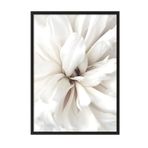 Postifull Close Up Blossom Çerçeveli Tablo, Siyah Çerçeve Ve Poster, Duvar Tablosu Comfort Serisi No:108417;50 X 70 Siyah Çerçeveli