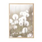 Postifull Cottongrass Çerçeveli Tablo, Ahşap Çerçeve Ve Poster, Dikey Duvar Tablosu Comfort Serisi No:108310;30 X 40 Ahşap Çerçeveli