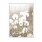 Postifull Cottongrass Çerçeveli Tablo, Beyaz Çerçeve Ve Poster, Dikey Duvar Tablosu Comfort Serisi No:108310;10 X 15 Beyaz Çerçeveli