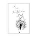 Postifull Dandelion Wish Çerçeveli Tablo, Beyaz Çerçeve Ve Poster, Duvar Tablosu Comfort Serisi No:108520;10 X 15 Beyaz Çerçeveli