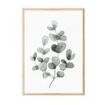 Postifull Eucalyptus No1 Çerçeveli Tablo, Ahşap Çerçeve Ve Poster, Duvar Tablosu Comfort Serisi No:108454;10 X 15 Ahşap Çerçeveli