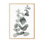 Postifull Eucalyptus No2 Çerçeveli Tablo, Ahşap Çerçeve Ve Poster, Duvar Tablosu Comfort Serisi No:108455;50 X 70 Ahşap Çerçeveli