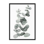 Postifull Eucalyptus No2 Çerçeveli Tablo, Siyah Çerçeve Ve Poster, Duvar Tablosu Comfort Serisi No:108455;10 X 15 Siyah Çerçeveli