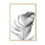Postifull Feather Çerçeveli Tablo, Ahşap Çerçeve Ve Poster, Dikey Duvar Tablosu Comfort Serisi No:108302;10 X 15 Ahşap Çerçeveli