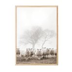 Postifull Flock Of Sheep Çerçeveli Tablo, Ahşap Çerçeve Ve Poster, Duvar Tablosu Comfort Serisi No:108505;10 X 15 Ahşap Çerçeveli