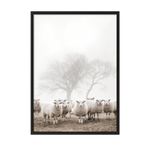 Postifull Flock Of Sheep Çerçeveli Tablo, Siyah Çerçeve Ve Poster, Duvar Tablosu Comfort Serisi No:108505;10 X 15 Siyah Çerçeveli