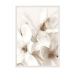 Postifull Flowering Magnolia Çerçeveli Tablo, Beyaz Çerçeve Ve Poster, Duvar Tablosu Comfort Serisi No:108416;10 X 15 Beyaz Çerçeveli