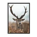 Postifull Forest Stag Çerçeveli Tablo, Siyah Çerçeve Ve Poster, Dikey Duvar Tablosu Comfort Serisi No:108443;10 X 15 Siyah Çerçeveli