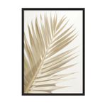 Postifull Gold Palm Çerçeveli Tablo, Siyah Çerçeve Ve Poster, Dikey Duvar Tablosu Comfort Serisi No:108378;50 X 70 Siyah Çerçeveli