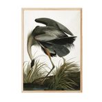 Postifull Great Heron Çerçeveli Tablo, Ahşap Çerçeve Ve Poster, Dikey Duvar Tablosu Comfort Serisi No:108502;10 X 15 Ahşap Çerçeveli