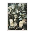 Postifull Green Hydrangea Çerçeveli Tablo, Beyaz Çerçeve Ve Poster, Duvar Tablosu Comfort Serisi No:108400;50 X 70 Beyaz Çerçeveli