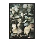 Postifull Green Hydrangea Çerçeveli Tablo, Siyah Çerçeve Ve Poster, Duvar Tablosu Comfort Serisi No:108400;10 X 15 Siyah Çerçeveli