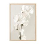 Postifull In Full Bloom Çerçeveli Tablo, Ahşap Çerçeve Ve Poster, Dikey Duvar Tablosu Comfort Serisi No:108434;10 X 15 Ahşap Çerçeveli