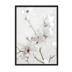 Postifull Magnolia Branch Çerçeveli Tablo, Siyah Çerçeve Ve Poster, Duvar Tablosu Comfort Serisi No:108418;10 X 15 Siyah Çerçeveli
