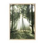 Postifull Morning Forest Çerçeveli Tablo, Ahşap Çerçeve Ve Poster, Duvar Tablosu Comfort Serisi No:108399;10 X 15 Ahşap Çerçeveli