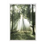 Postifull Morning Forest Çerçeveli Tablo, Beyaz Çerçeve Ve Poster, Duvar Tablosu Comfort Serisi No:108399;50 X 70 Beyaz Çerçeveli
