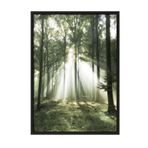 Postifull Morning Forest Çerçeveli Tablo, Siyah Çerçeve Ve Poster, Duvar Tablosu Comfort Serisi No:108399;10 X 15 Siyah Çerçeveli