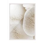 Postifull Mushroom Dream Çerçeveli Tablo, Beyaz Çerçeve Ve Poster, Duvar Tablosu Comfort Serisi No:108343;30 X 40 Beyaz Çerçeveli
