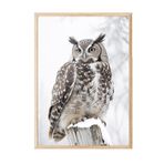 Postifull Owl İn Snowfall Yılbaşı Tablo, Ahşap Çerçeve Ve Poster, Duvar Tablosu Comfort Serisi No:108413;30 X 40 Ahşap Çerçeveli