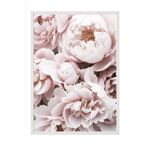 Postifull Pink Peony Dream Çerçeveli Tablo, Beyaz Çerçeve Ve Poster, Duvar Tablosu Comfort Serisi No:108369;10 X 15 Beyaz Çerçeveli