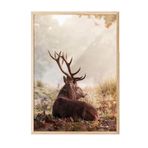 Postifull Red Deer Çerçeveli Tablo, Ahşap Çerçeve Ve Poster, Dikey Duvar Tablosu Comfort Serisi No:108351;10 X 15 Ahşap Çerçeveli