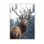 Postifull Red Deer İn Snow Çerçeveli Tablo, Beyaz Çerçeve Ve Poster, Duvar Tablosu Comfort Serisi No:108508;50 X 70 Beyaz Çerçeveli