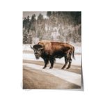 Postifull Rustic Çerçevesiz Poster, İskandinav Kahverengi Tablo, No:128 Yolda Bison Fotoğraf, Dikey;30 X 40 Renkli - 10
