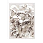 Postifull Snowy Reed Yılbaşı Tablo, Beyaz Çerçeve Ve Poster, Dikey Duvar Tablosu Comfort Serisi No:108411;10 X 15 Beyaz Çerçeveli