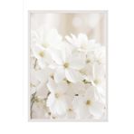 Postifull Soft White Bloom Çerçeveli Tablo, Beyaz Çerçeve Ve Poster, Duvar Tablosu Comfort Serisi No:108344;10 X 15 Beyaz Çerçeveli