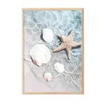 Postifull Starfish And Seashell Çerçeveli Tablo, Dikey Duvar Tablosu Comfort Serisi No:108423;30 X 40 Ahşap Çerçeveli