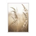 Postifull Sunlight Reed Çerçeveli Tablo, Beyaz Çerçeve Ve Poster, Dikey Duvar Tablosu Comfort Serisi No:108409;10 X 15 Beyaz Çerçeveli