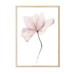 Postifull Watercolour Flower Çerçeveli Tablo, Ahşap Çerçeve Ve Poster, Duvar Tablosu Comfort Serisi No:108492;10 X 15 Ahşap Çerçeveli