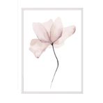 Postifull Watercolour Flower Çerçeveli Tablo, Beyaz Çerçeve Ve Poster, Duvar Tablosu Comfort Serisi No:108492;30 X 42 Beyaz Çerçeveli