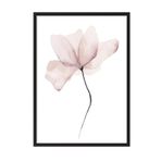 Postifull Watercolour Flower Çerçeveli Tablo, Siyah Çerçeve Ve Poster, Duvar Tablosu Comfort Serisi No:108492;50 X 70 Siyah Çerçeveli