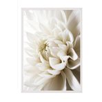 Postifull White Dahlia Çerçeveli Tablo, Beyaz Çerçeve Ve Poster, Dikey Duvar Tablosu Comfort Serisi No:108311;10 X 15 Beyaz Çerçeveli
