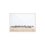 Postifull Zebra Herd Çerçeveli Tablo, Beyaz Çerçeve Ve Poster, Yatay Duvar Tablosu Comfort Serisi No:108464;10 X 15 Beyaz Çerçeveli