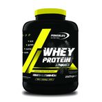 Powerlife Whey Çikolata 2025 gr Protein Tozu