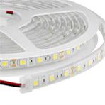Powerline PLD-220M 220V Dış Mekan Mavi Led Şerit