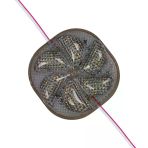 Powermaster 12 Volt 3 Watt Soğuk Beyaz Yanıp Sönen 6565-2835 Modül Led