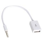 Powermaster Dişi Aux Stereo USB Kablo