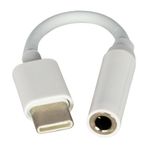 Powermaster JH-022 10 cm Kablolu Type-C to 3.5 mm Audio Çevirici