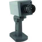 Powermaster PM-1007 Kırmızı Ledli Sensorlu Maket Kamera