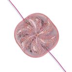 Powermaster Pm-14701 12 Volt 3 Watt Pembe Yanıp Sönen Çakar 6565-2835 Modül Led 65X65x12mm Vitrin