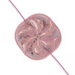 Powermaster Pm-14701 12 Volt 3 Watt Pembe Yanıp Sönen Çakar 6565-2835 Modül Led 65X65x12mm