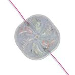 Powermaster Pm-14703 12 Volt 3 Watt Karışık (R+G+B) Yanıp Sönen Çakar 6565-2835 Modül Led 65X65x12mm Vitrin