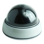 Powermaster PM-2001 Kırmızı Maket Dome Kamera